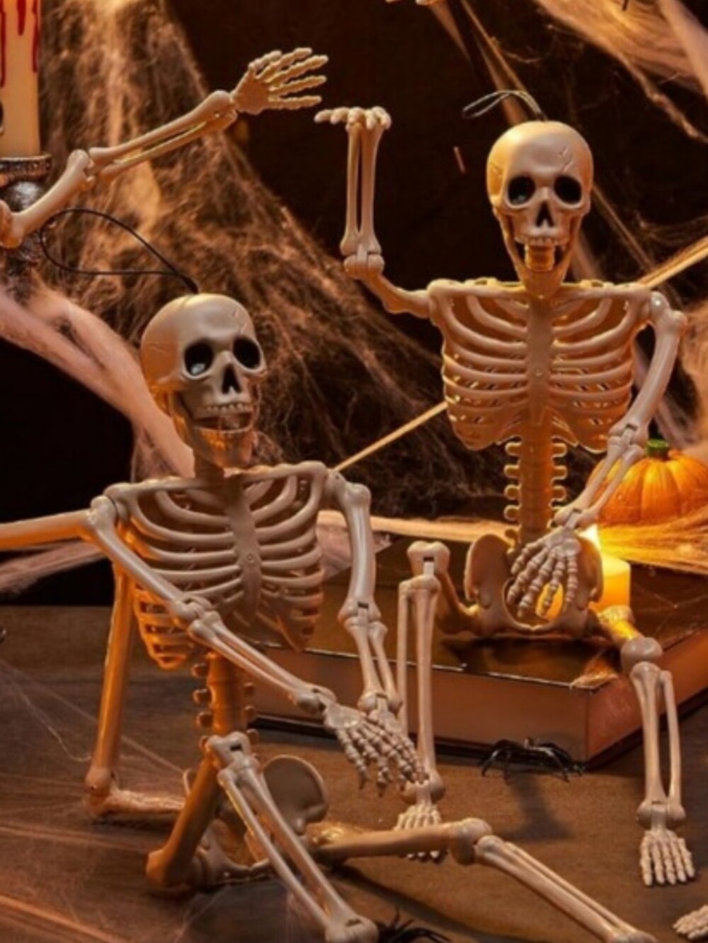 SKELETON DECOR (1)